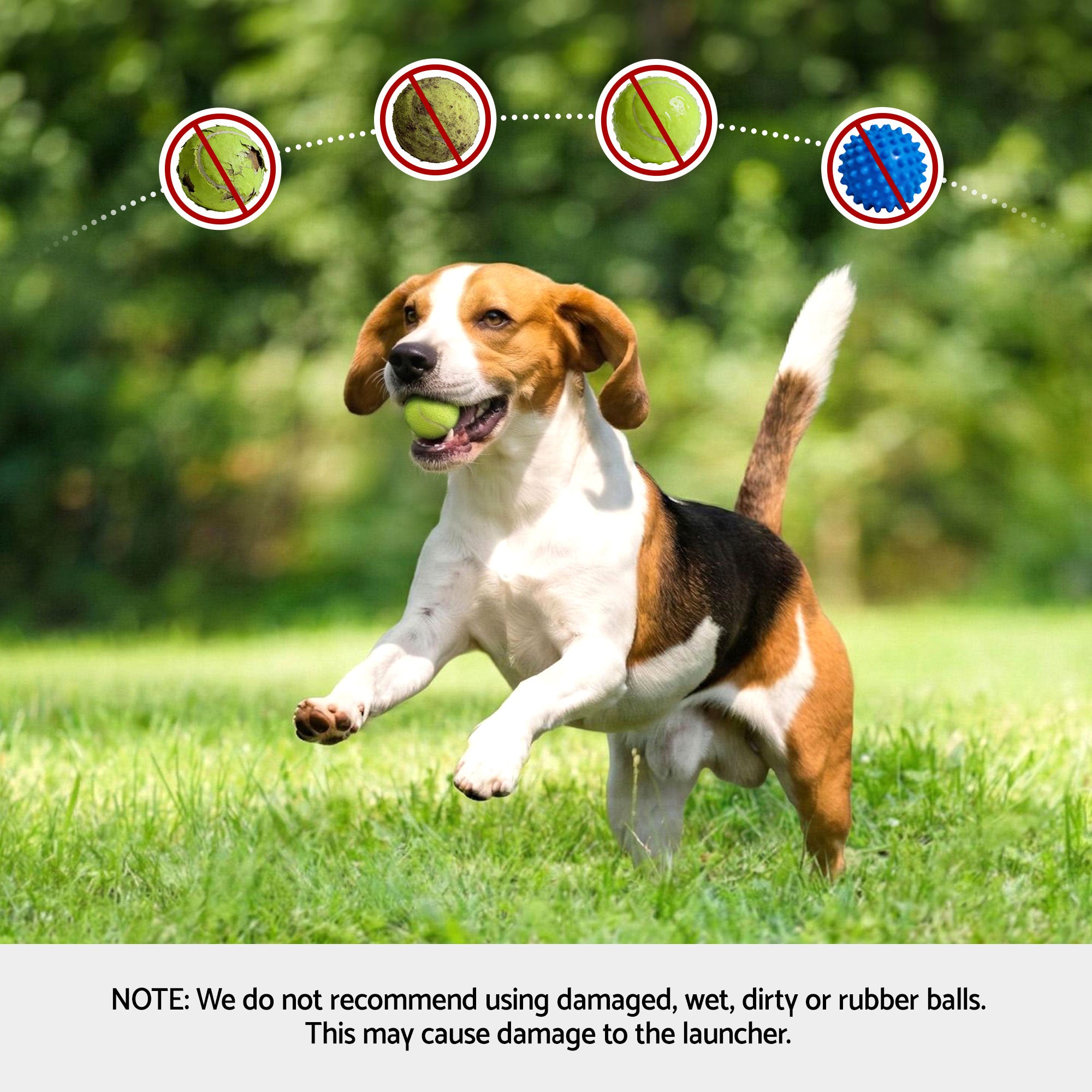 2-in-1 Dog Ball Launcher & Treat Dispenser with 2 Balls Green Toy
