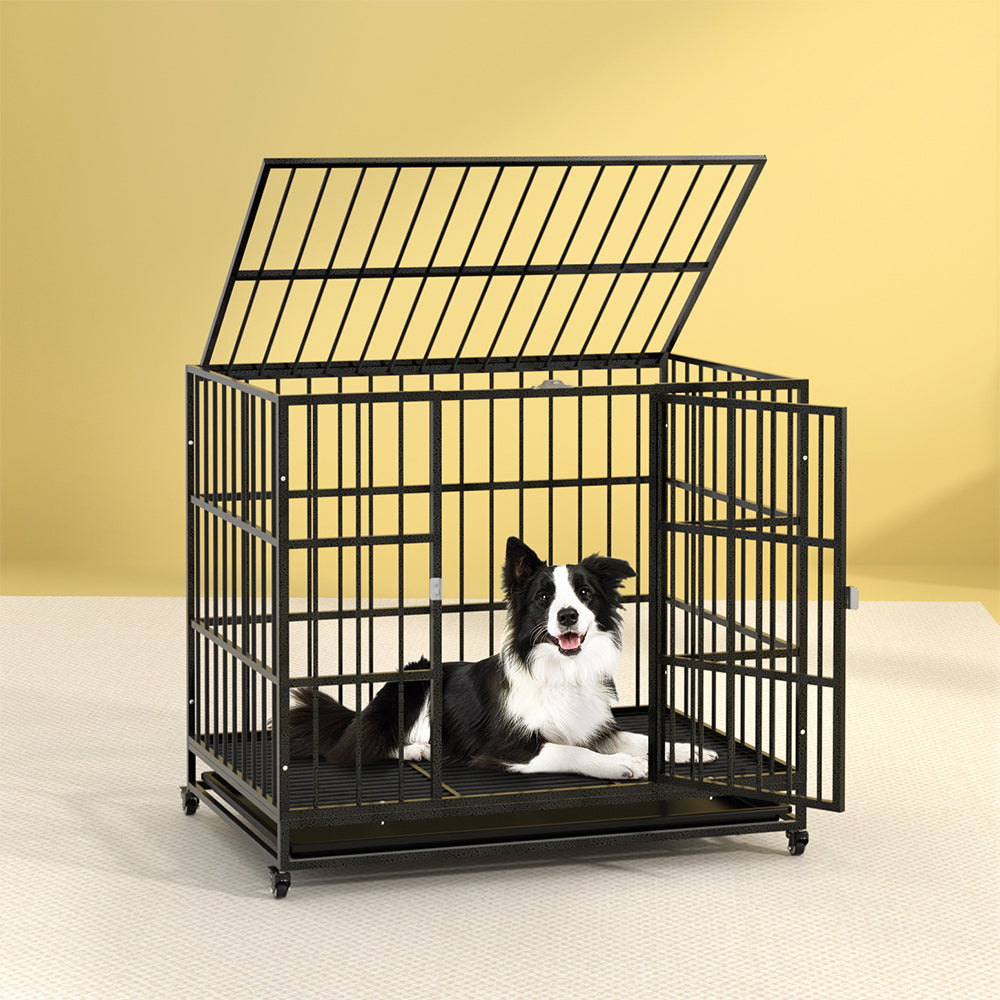 Dog Supplies
