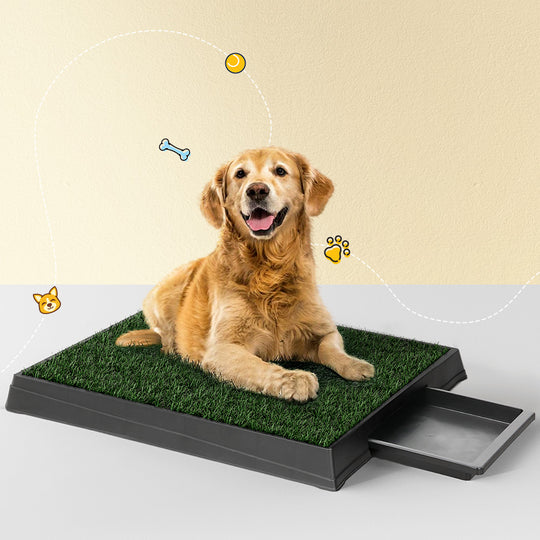 Training Pad Portable Dog Potty with Grass Mat | Large Loo