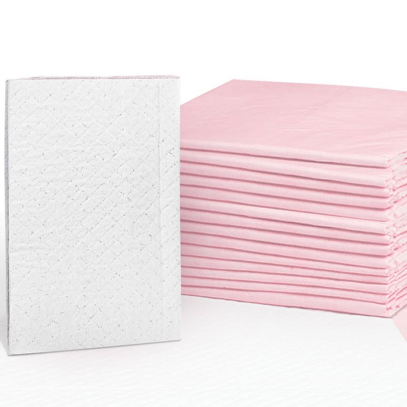 Pet Training Pads 200 Puppy Dog Cat Toilet Indoor 60X60Cm