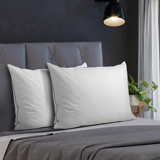 75 x 50cm Pillow with Duck Feather Standard Pillow Cotton