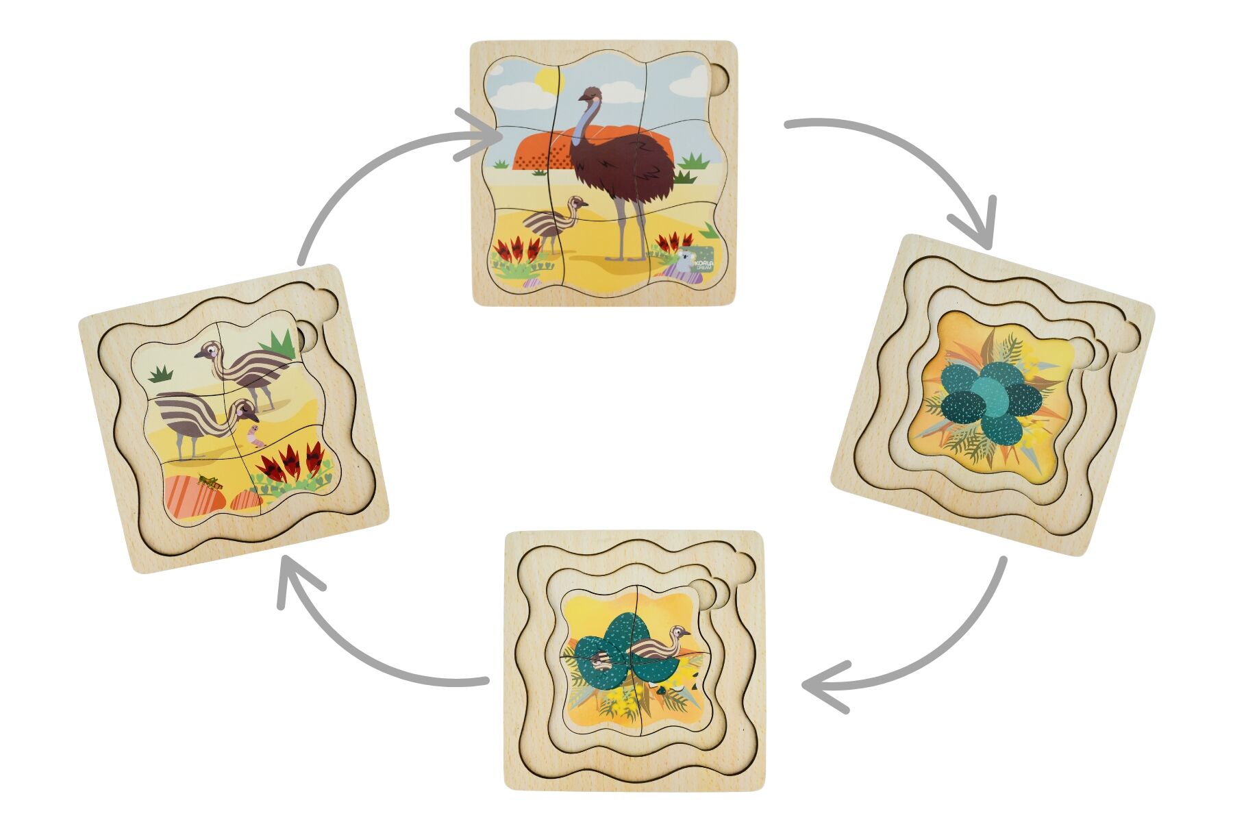 Emu Life Cycle Puzzle Educational 15x15x1cm