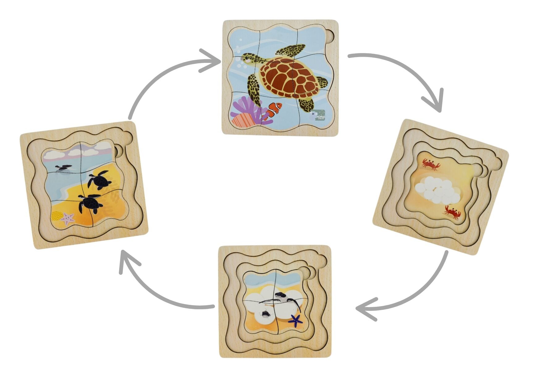 Sea Turtle Life Cycle Puzzle 15x15x1cm