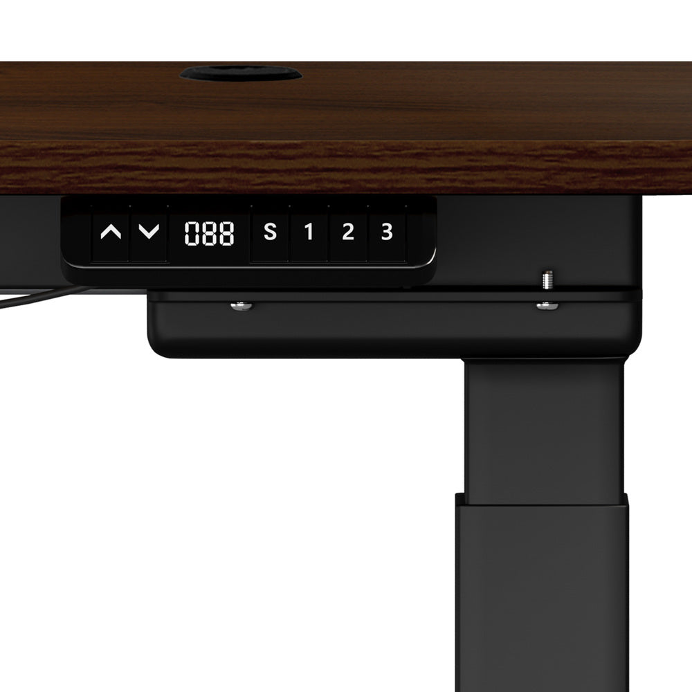 150cm Electric Standing Desk with Drawer Adjustable Black Walnut