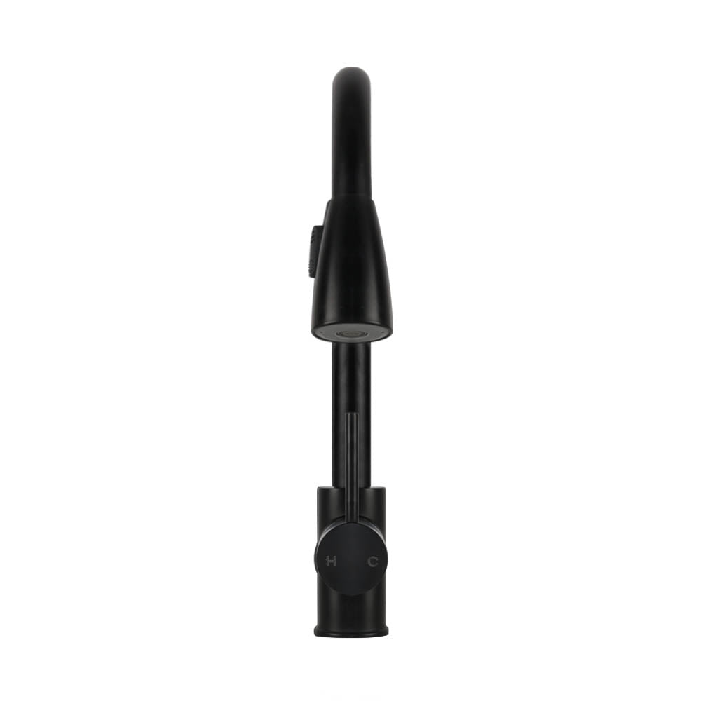 Kitchen Mixer Tap Pull-Out 2-Mode Sink Faucet Basin Laundry Black