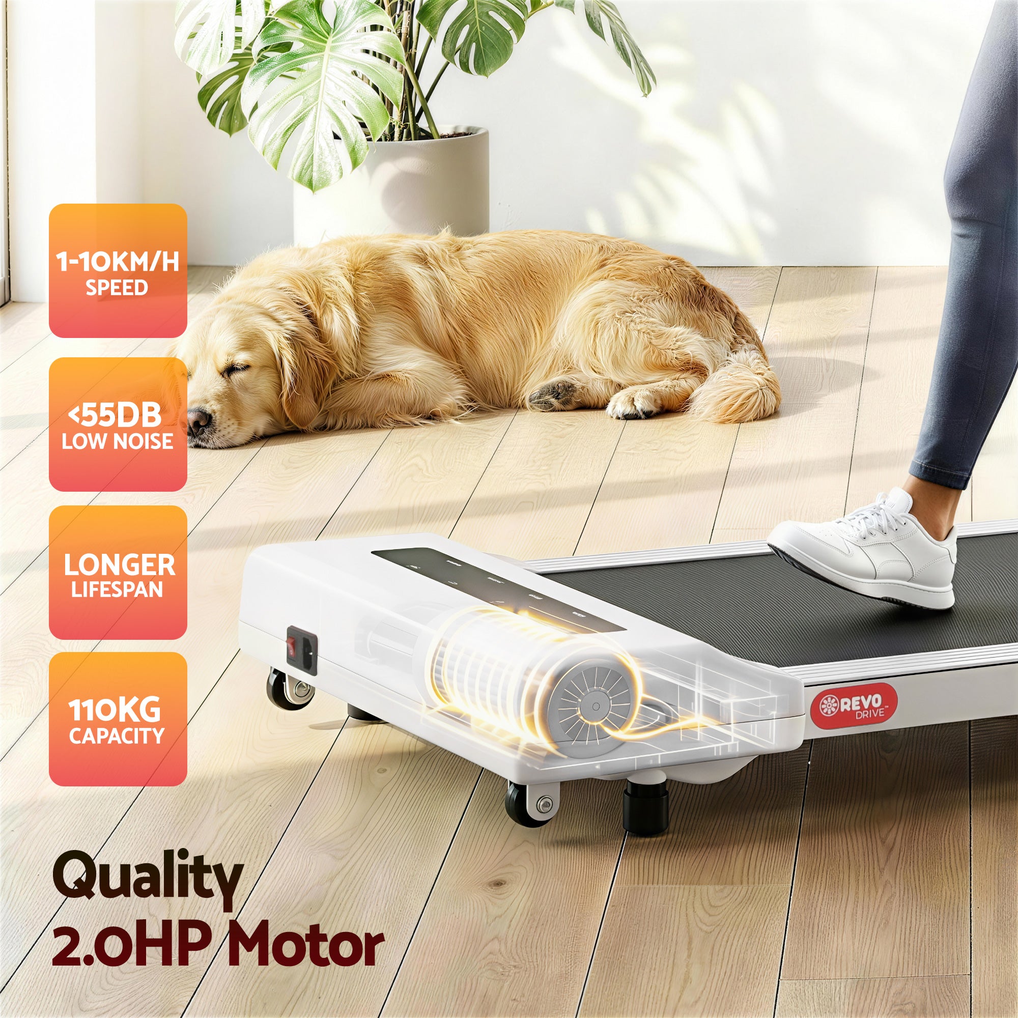 Treadmill Electric Walking