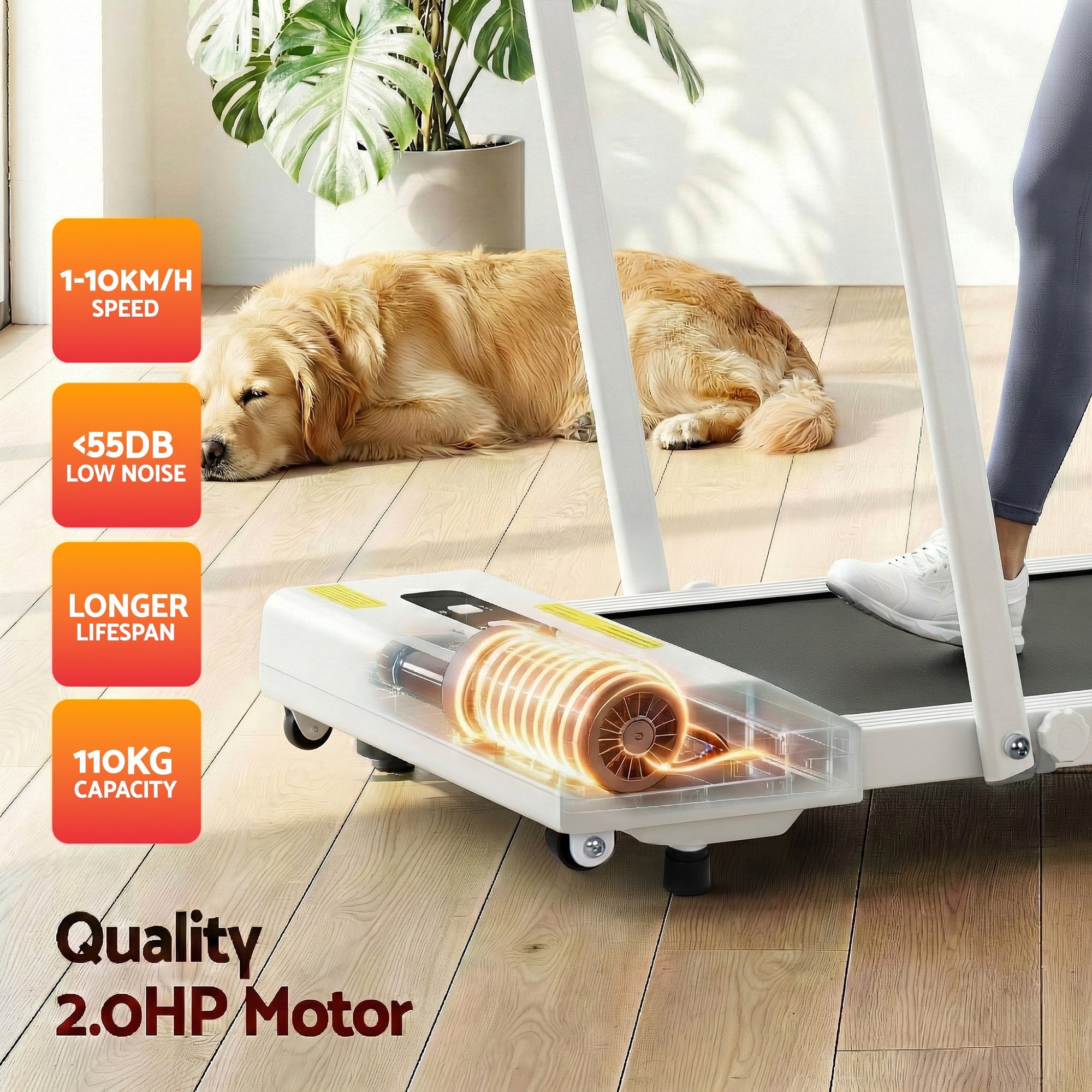 Treadmill Electric Walking