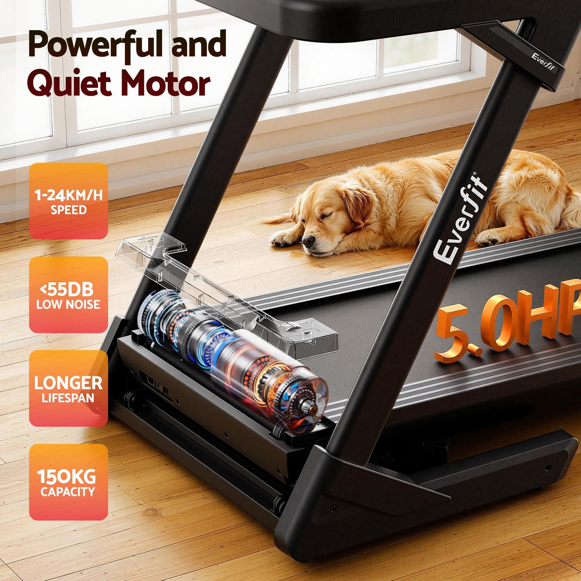 Foldable Treadmill 500mm Wide Belt Auto Incline | Simpledeal