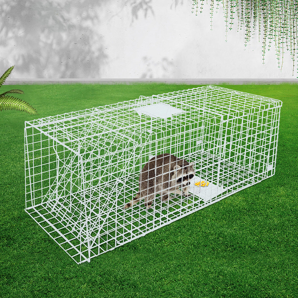 Large Humane Animal Trap Cage Galvanised Steel Foldable Live Catch
