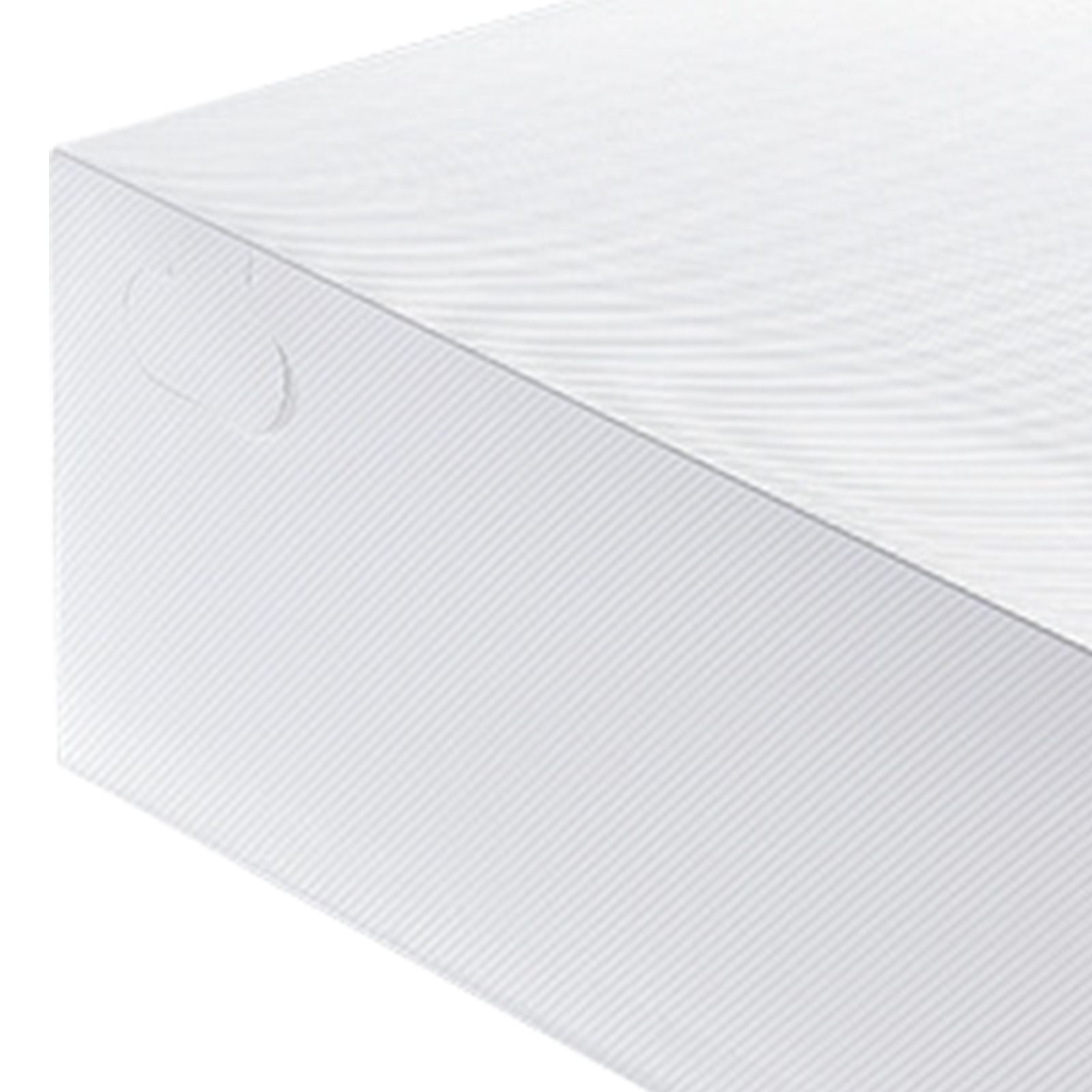 Shoe Storage Box Large White 33x23x13cm