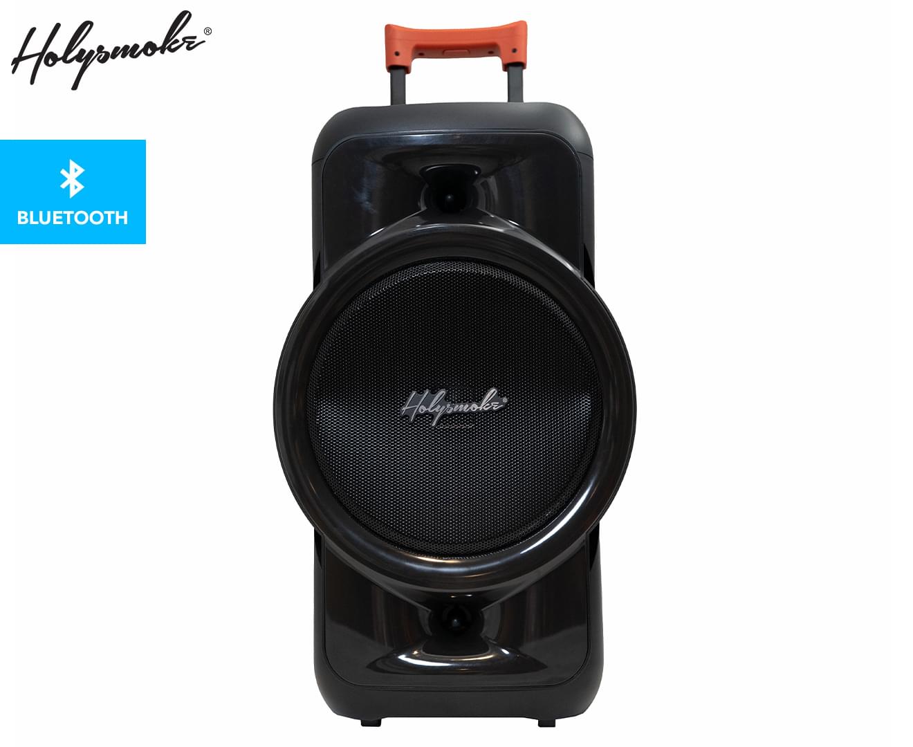 Raphe 12" Bluetooth TWS Party Speaker Portable Wireless Audio System