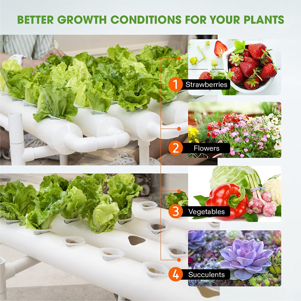 Hydroponic Grow Tool Kit For Vegetable Garden (36 Sites, 220V Water Pump)