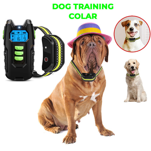 Electric Pet Training Collar: Auto Rechargeable Anti-Bark