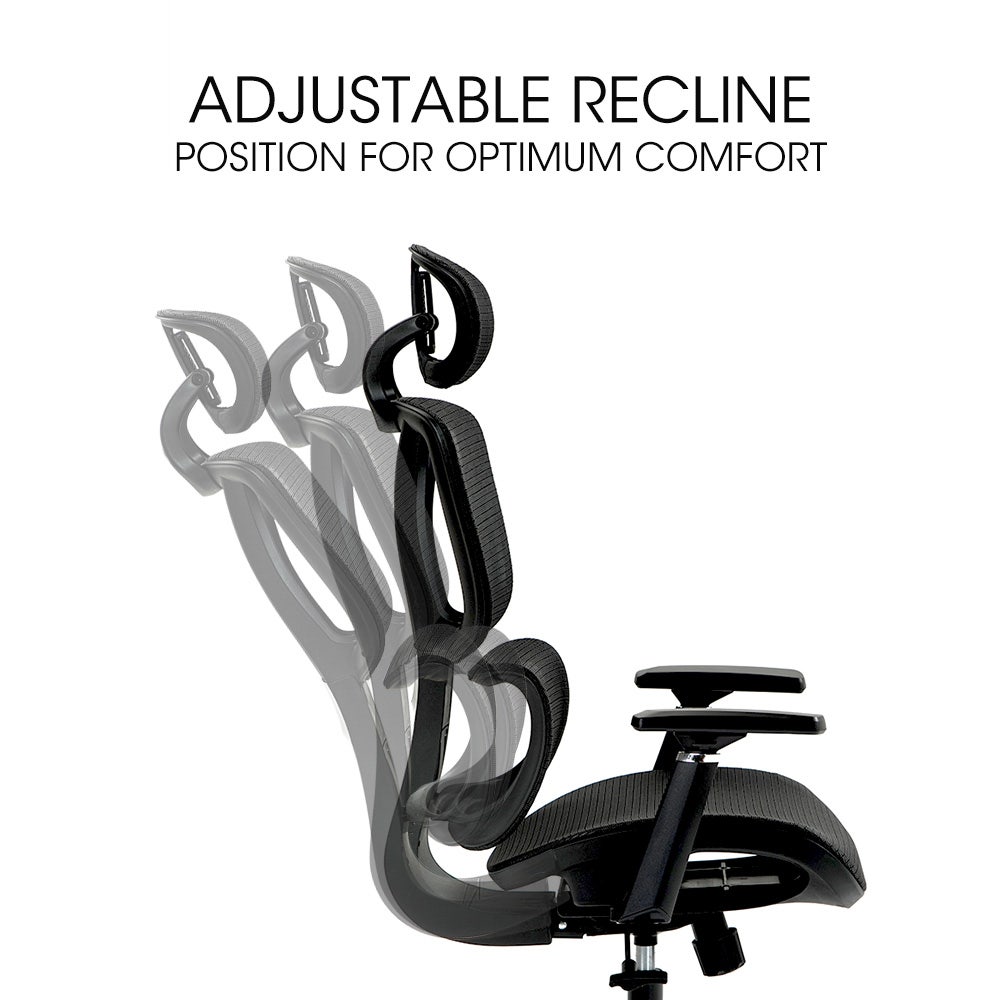 Fortia Ergonomic Office Desk Chair, Headrest, Armrest and Recline, Black Mesh/Black Frame