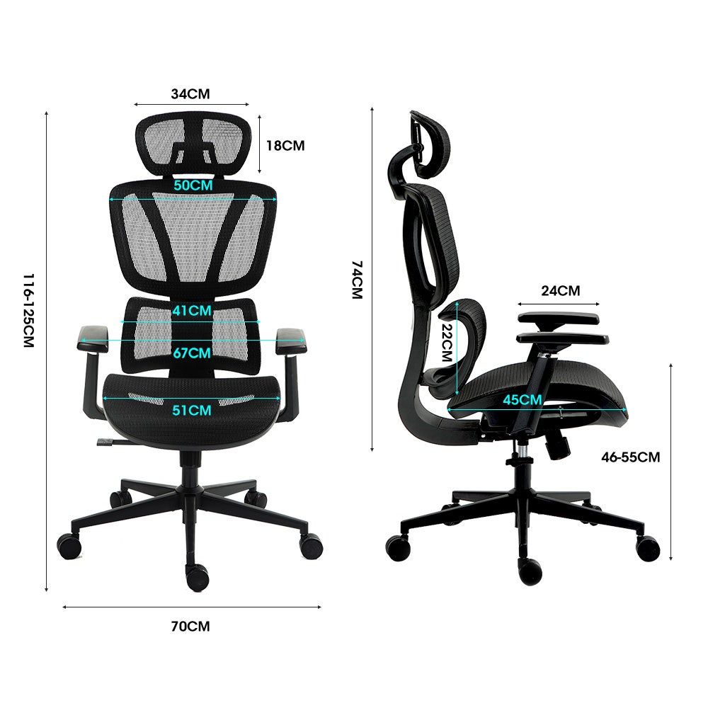 Fortia Ergonomic Office Desk Chair, Headrest, Armrest and Recline, Black Mesh/Black Frame