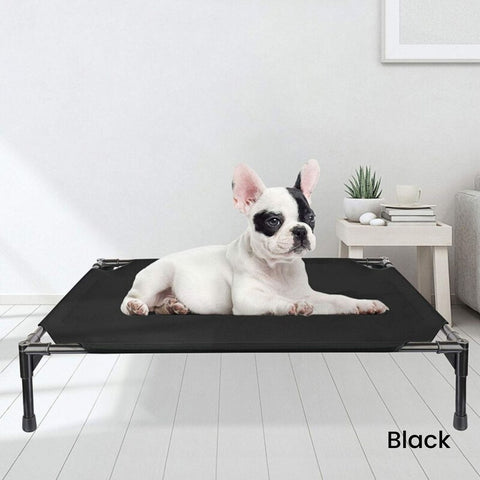 Elevated Pet Bed (M Black)