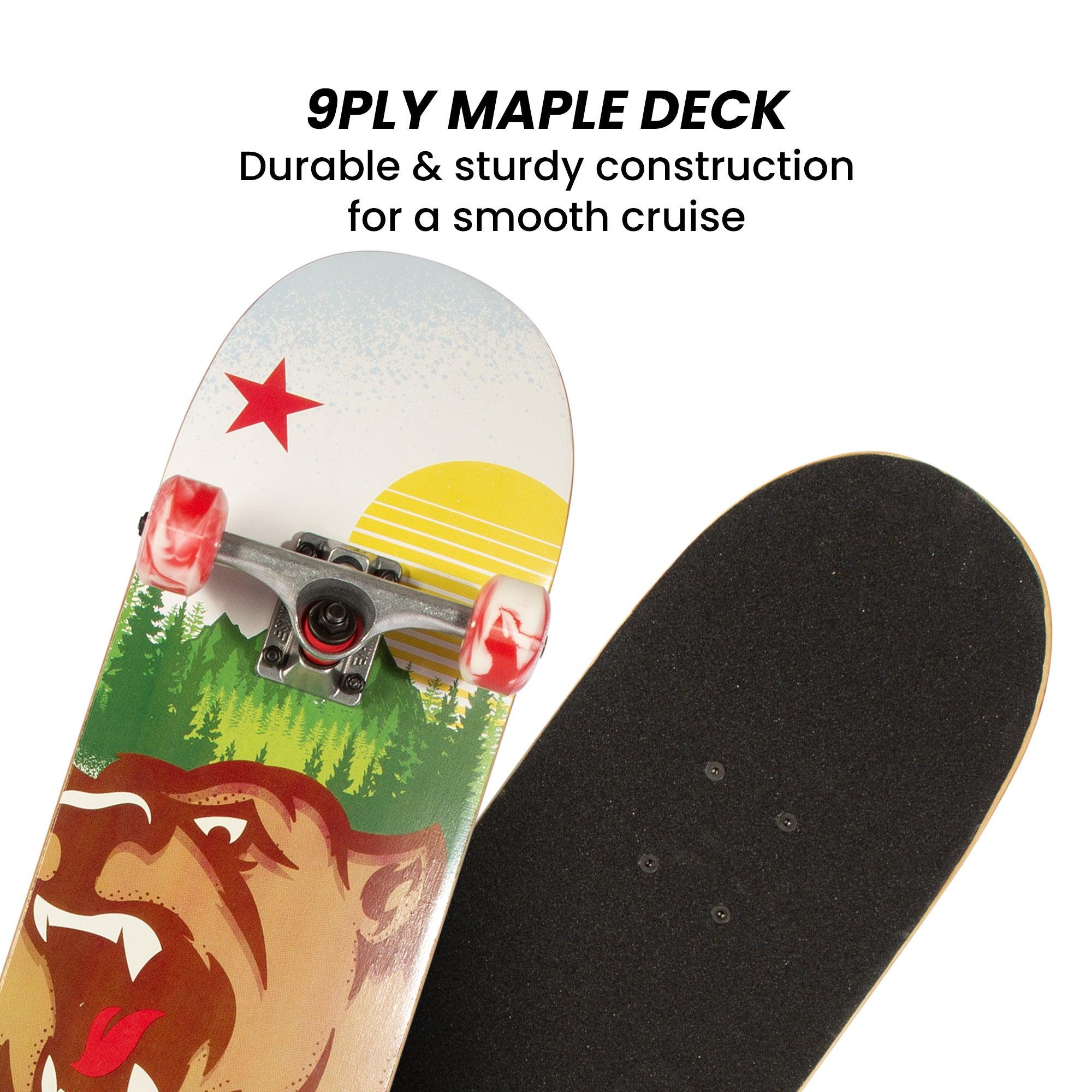 31-Inch Star Series Complete Skateboard