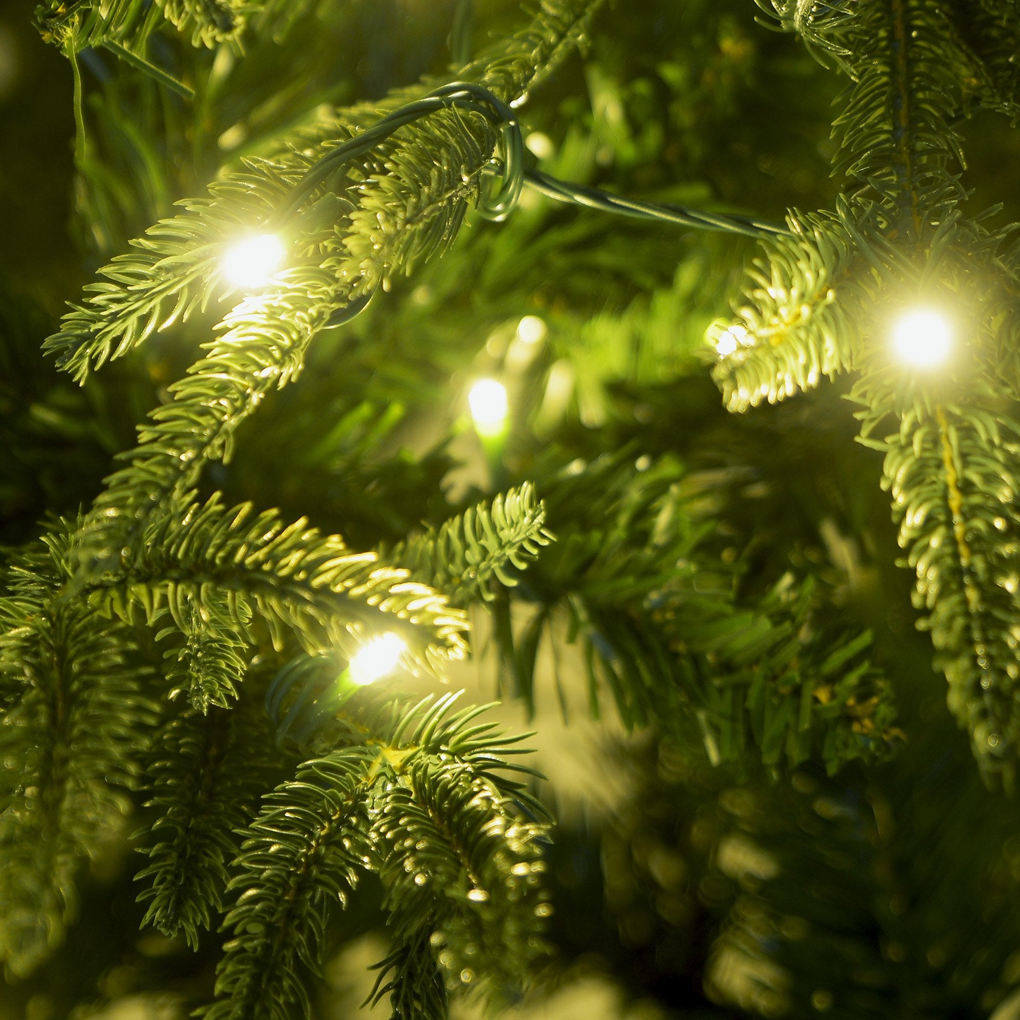 1.2M/1.8M Prelit Everglow Fir Christmas Tree With 150 Led Lights