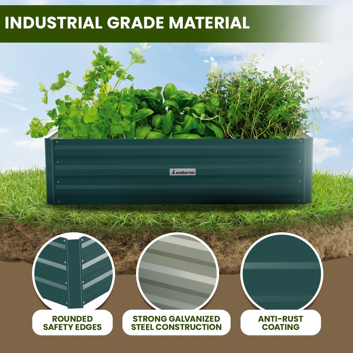 Green Garden Beds