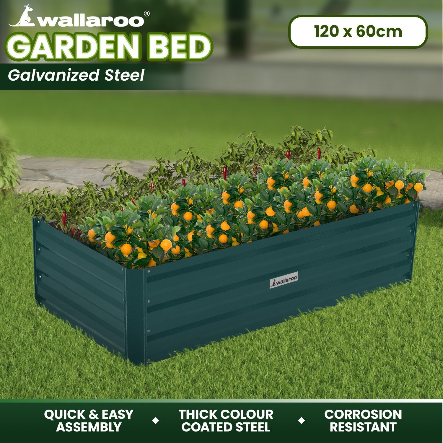 Home & Garden