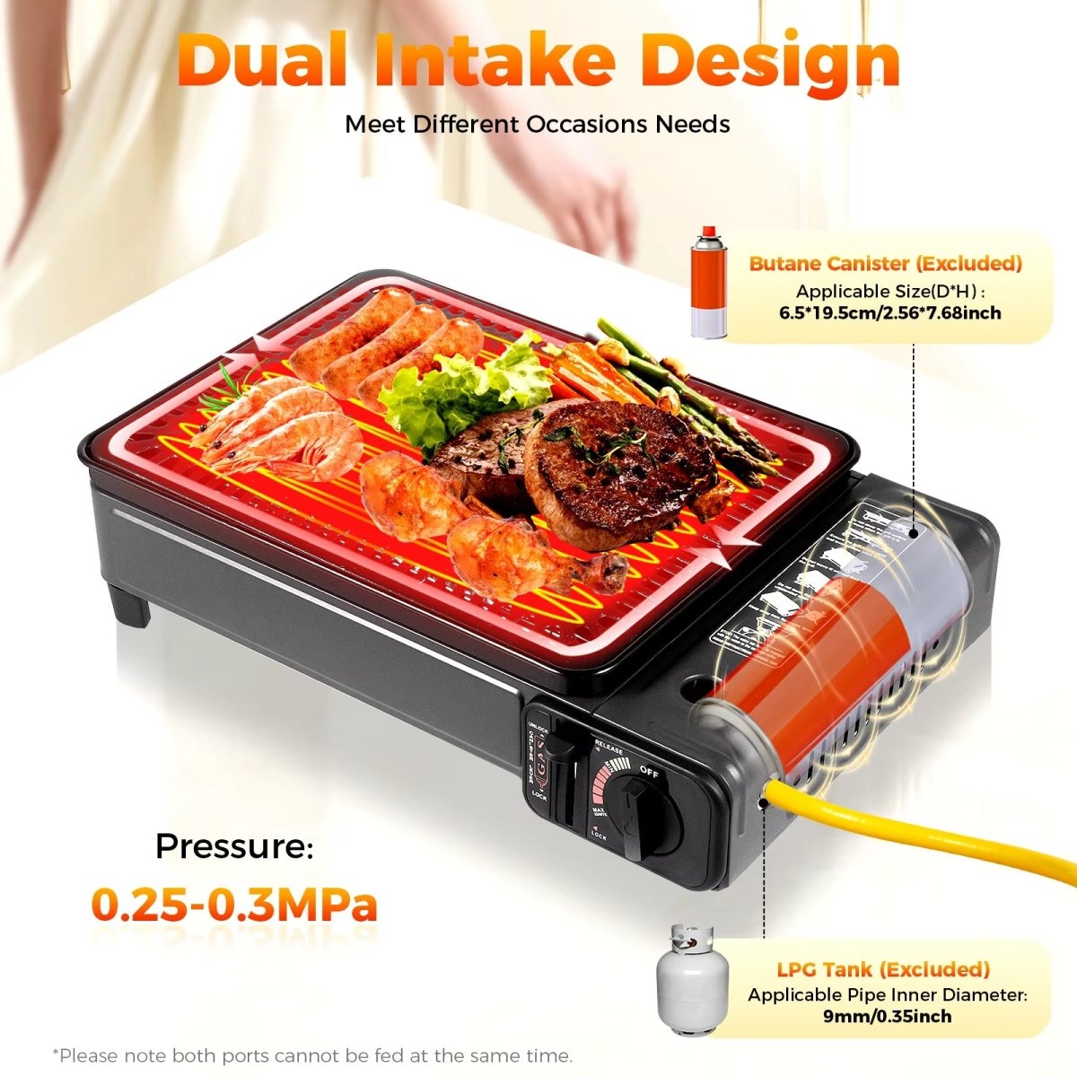 Portable Black Gas Stove BBQ Cooker with Fish Pan
