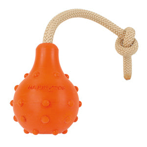 AquaticPlay: Small Floating Fetch Toy with Handle