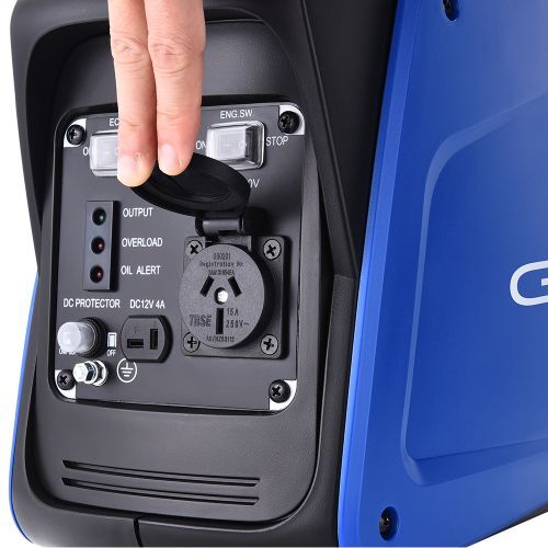 800w Pure Sine Wave Inverter Generator - Batteries & Generators