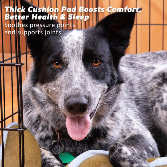 Foldable 42in Wire Dog Crate w/ Tray & Cushion Mat - Dog Playpens & Gates