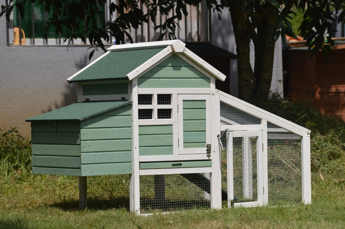 Green Small Chicken Coop With Nesting Box For 2 Chickens / Rabbit Hutch