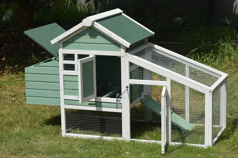 Green Small Chicken Coop With Nesting Box For 2 Chickens
