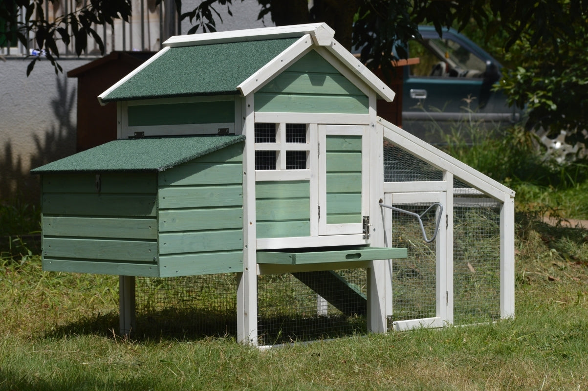 Green Small Chicken Coop With Nesting Box For 2 Chickens / Rabbit Hutch