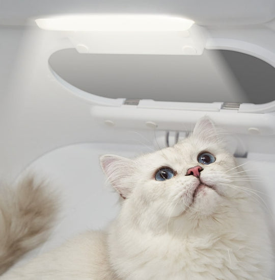 Airsalon Smart Pet Dryer Box, Pet Grooming Supplies