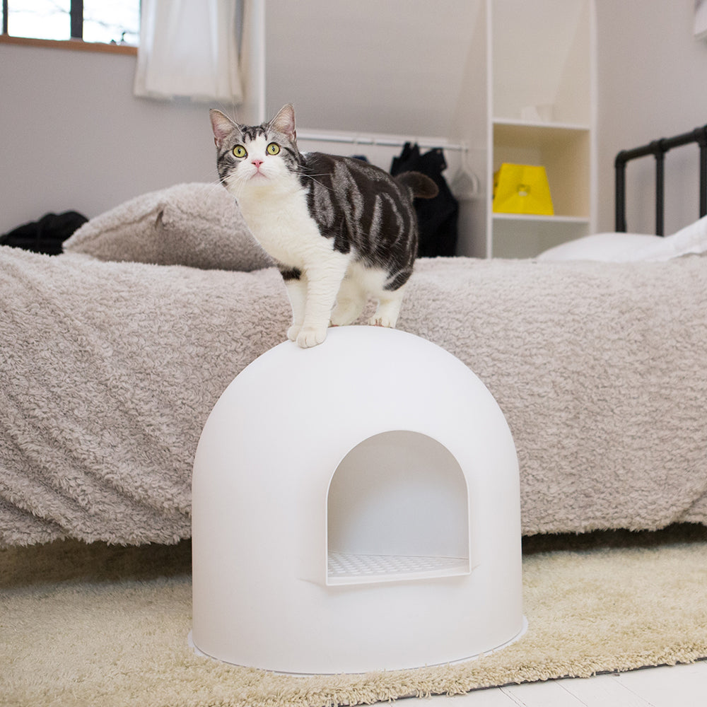 Igloo Cat Litter Box - White