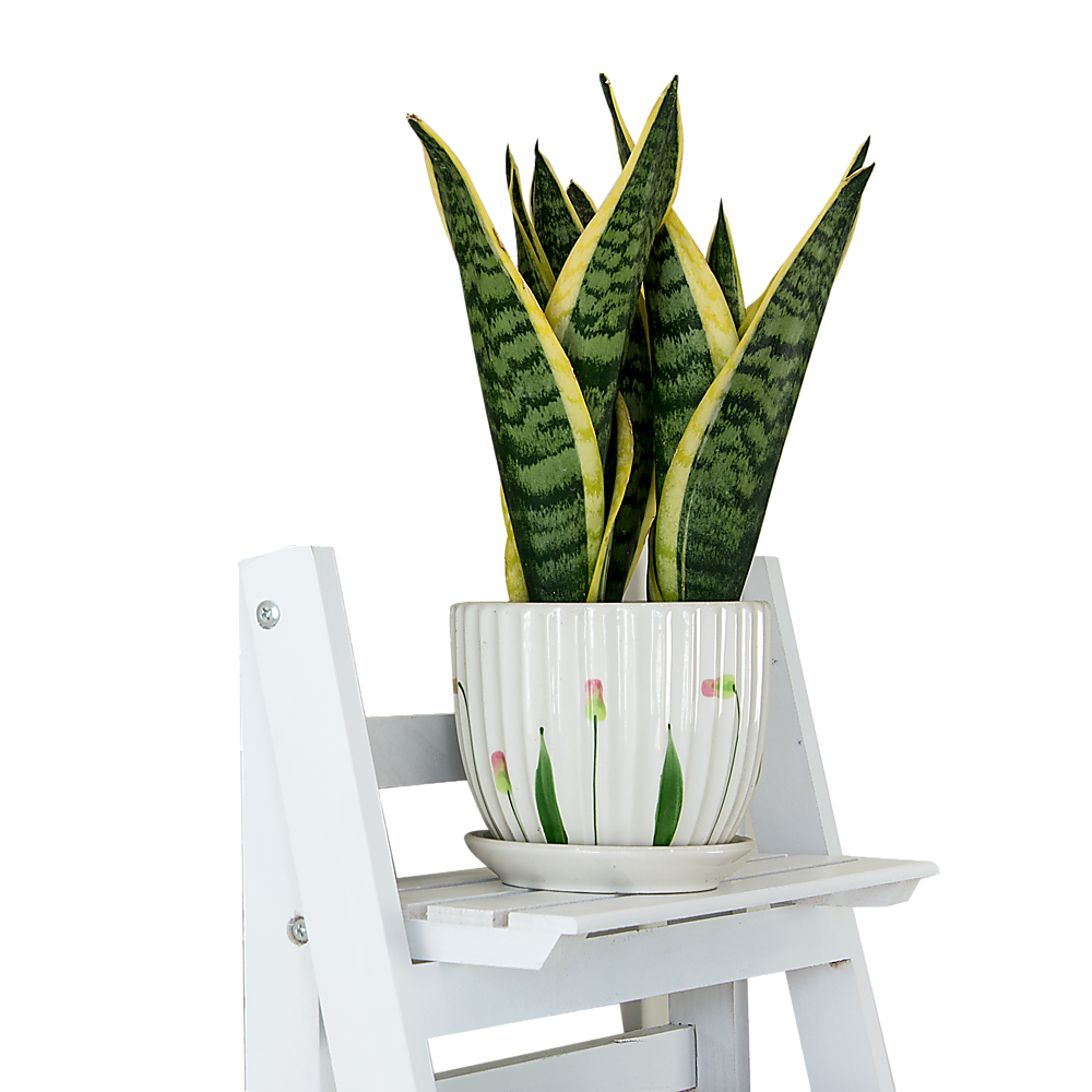 5 Tier Wooden Ladder Shelf Stand Storage Book Shelves Shelving