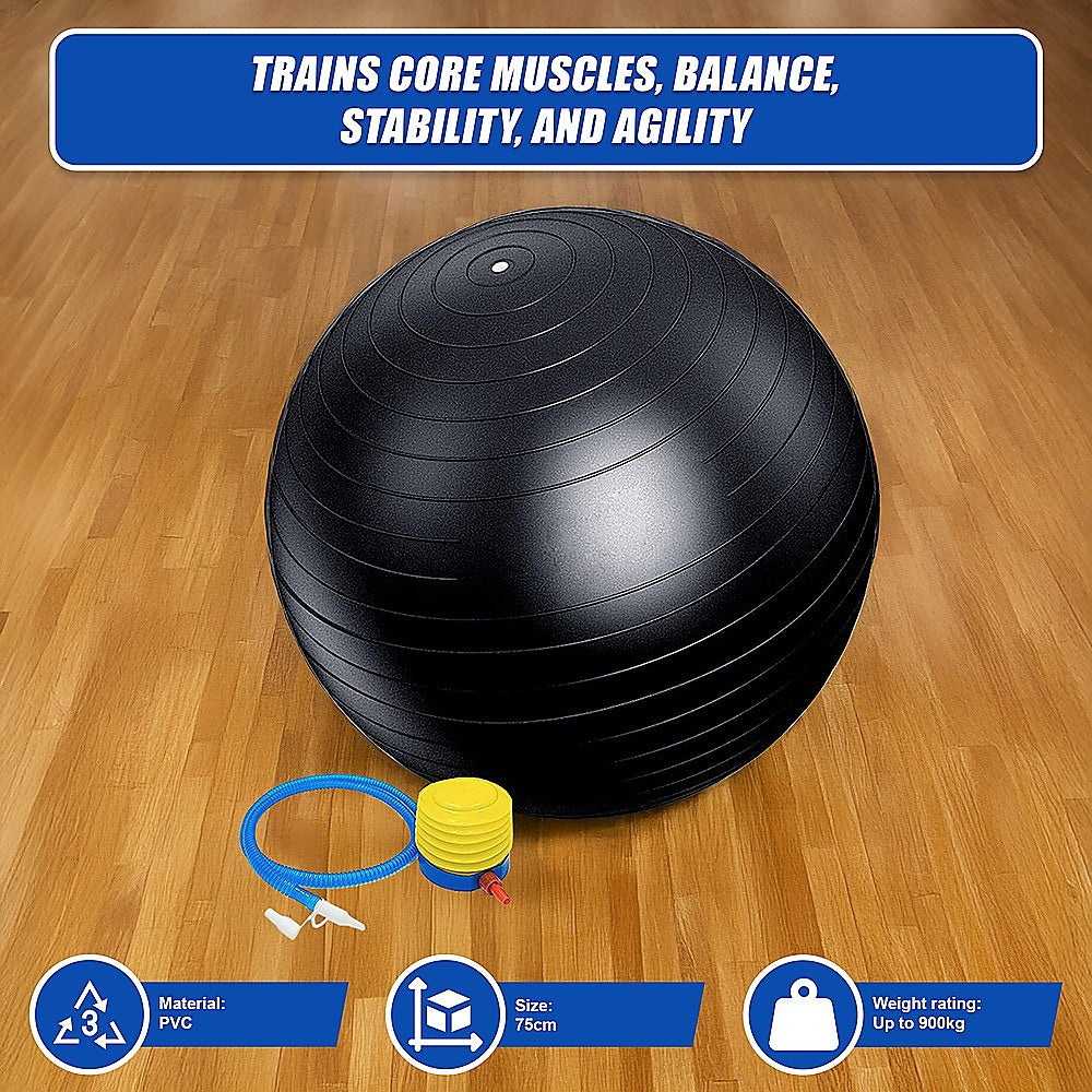 75Cm Static Strength Exercise Stability Ball With Pump | 75Cm