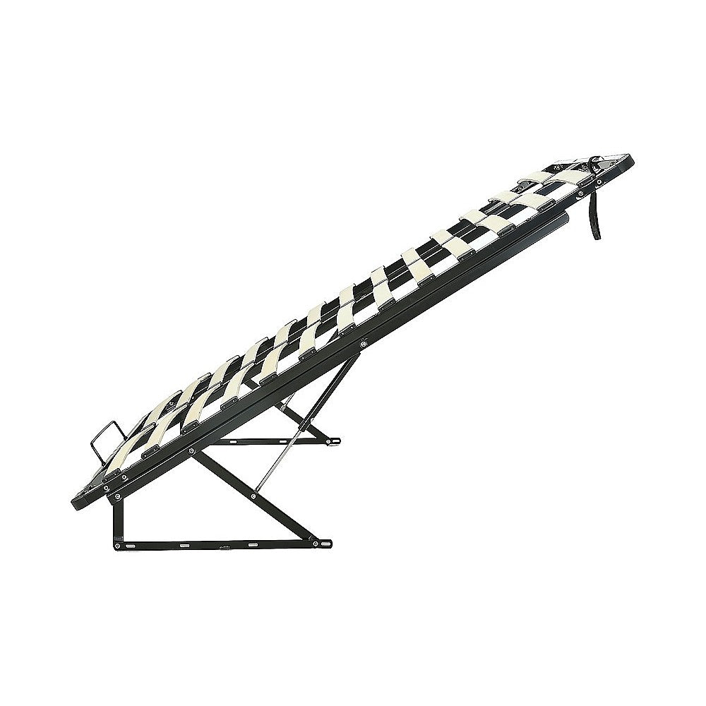 Double Gas Lift Bed Mechanism With Frame Storage Platform & Sofa Bed with Beds & Bed Frames