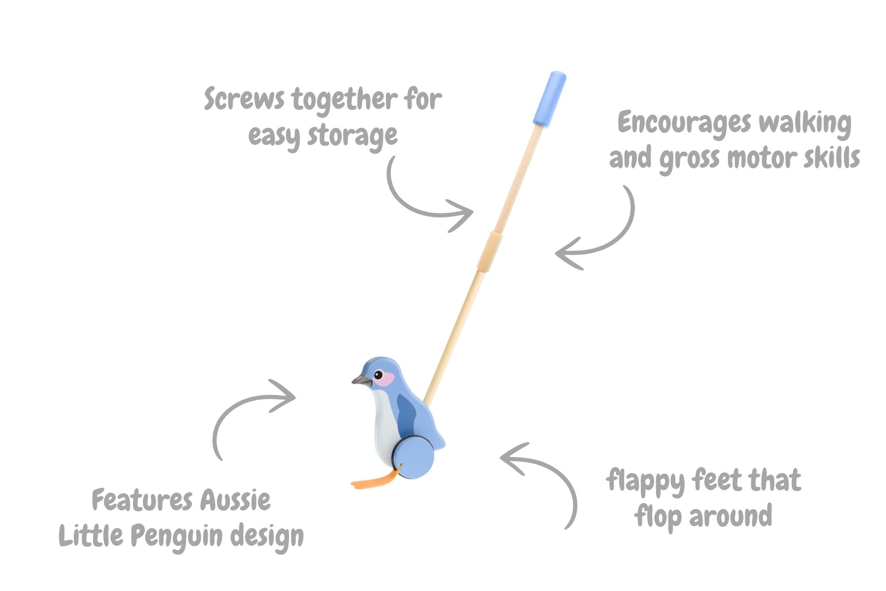 Timber Penguin Push Toy