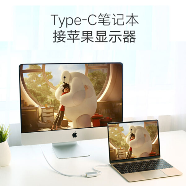 Usb-C To Mini Display Port Adapter (40867), Computer Monitors & Accessories