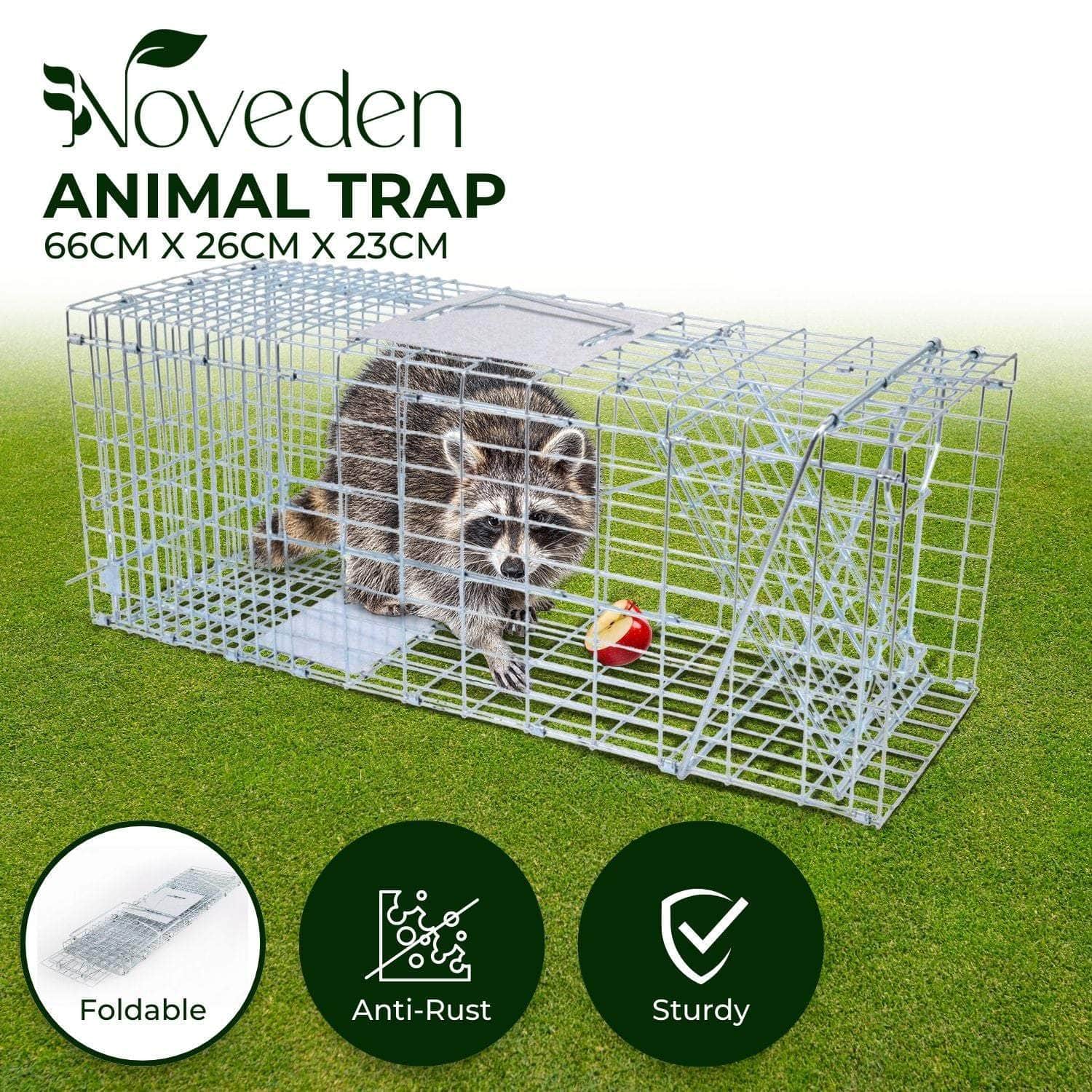 Animal Trap