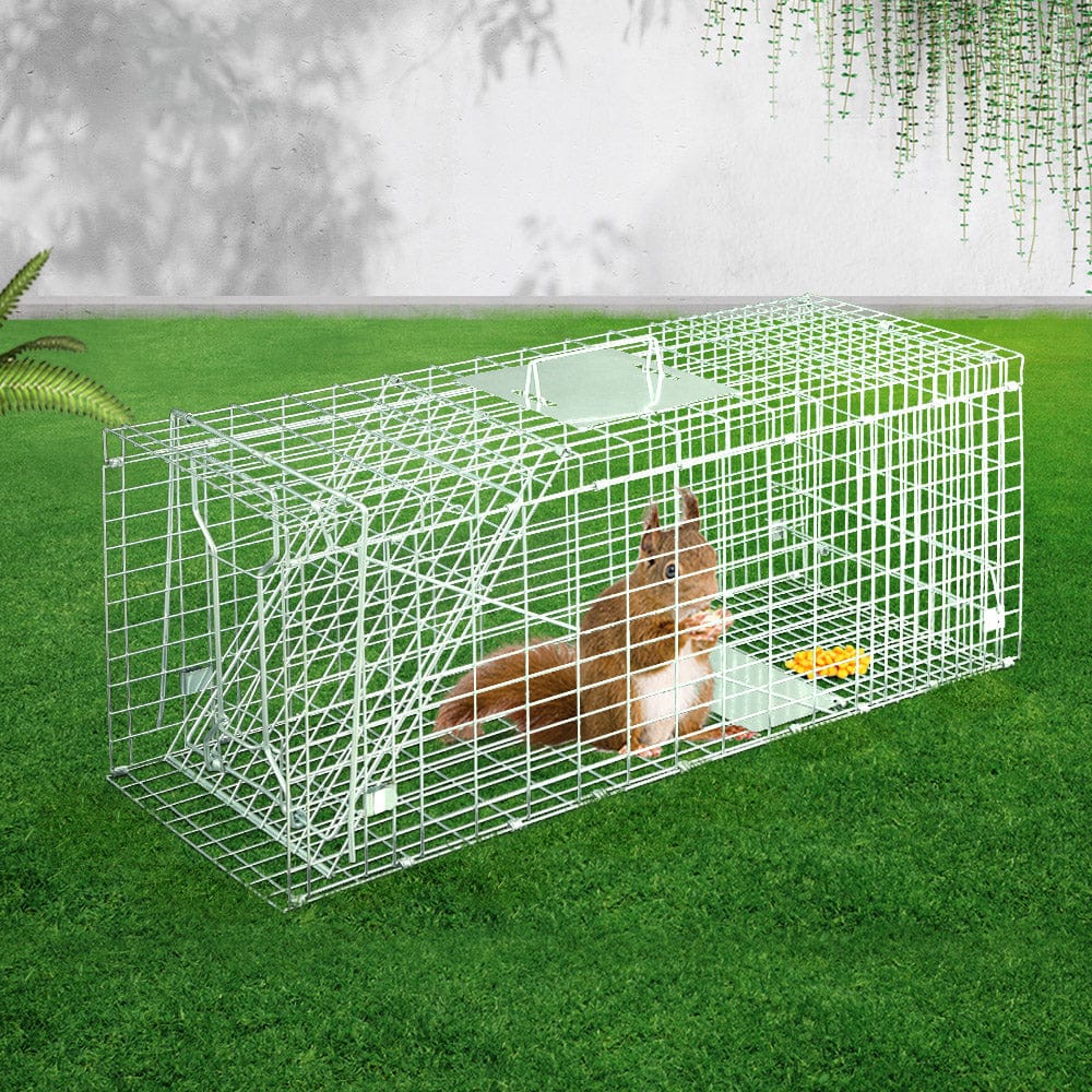 Animal Trap Humane Possum Cage Live Animal Catch Rabbit Cat Hare Fox - Animal Traps - photo 14