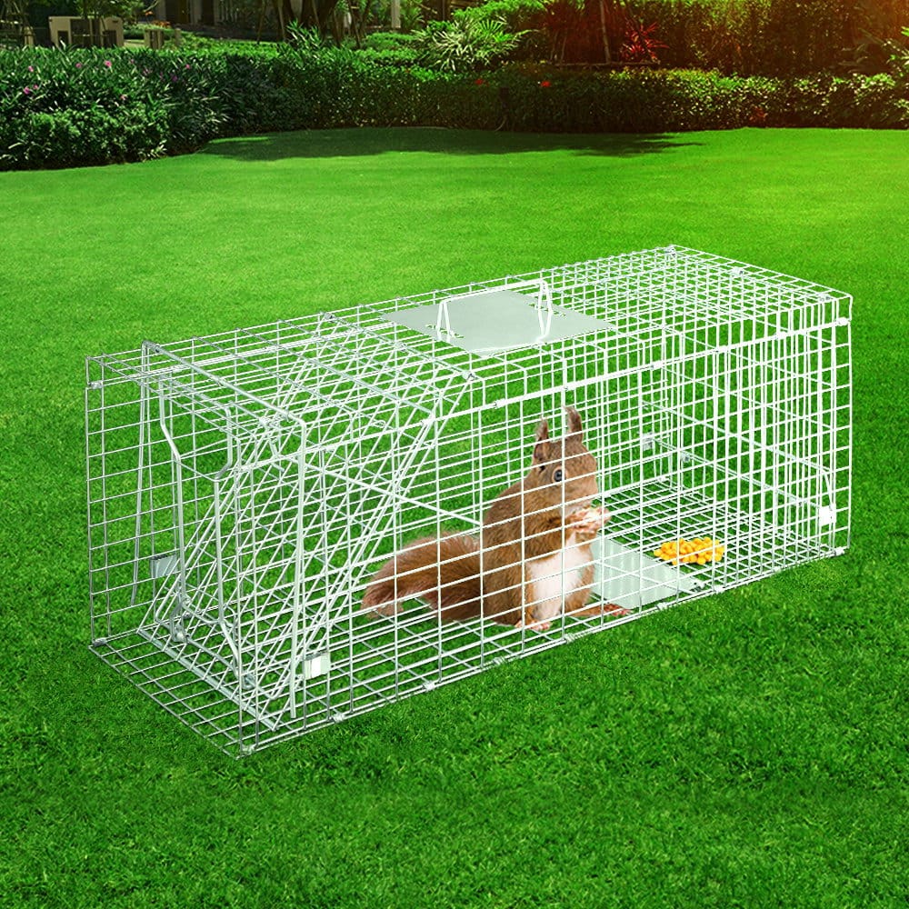Animal Trap Humane Possum Cage Live Animal Catch Rabbit Cat Hare Fox | Animal Traps - photo 6