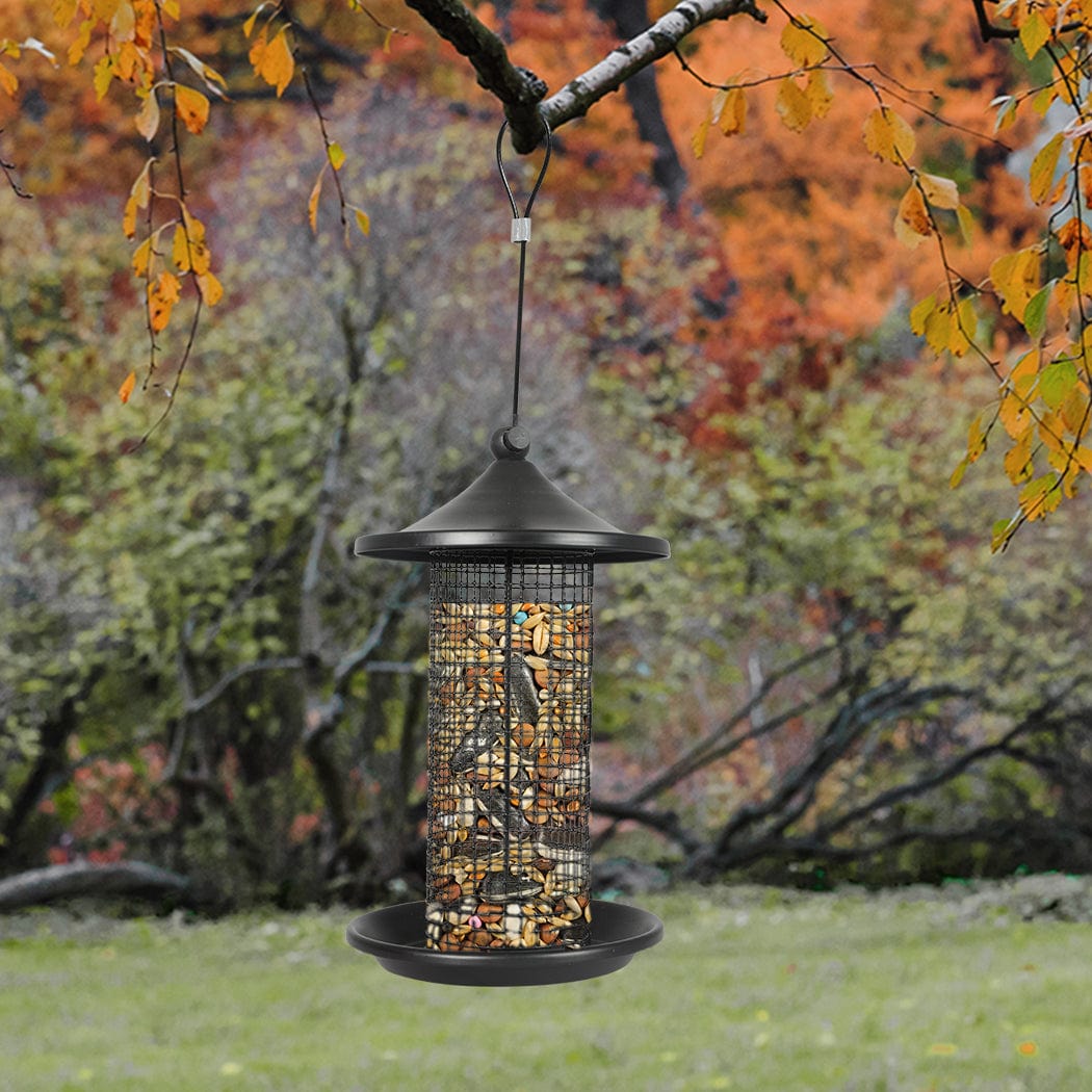 Attract Wild Birds with our Hanging Seed Container