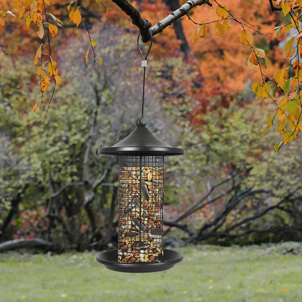 Attract Wild Birds with our Hanging Seed Container