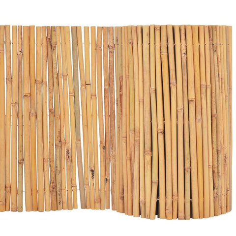 Baboo Fence  MS