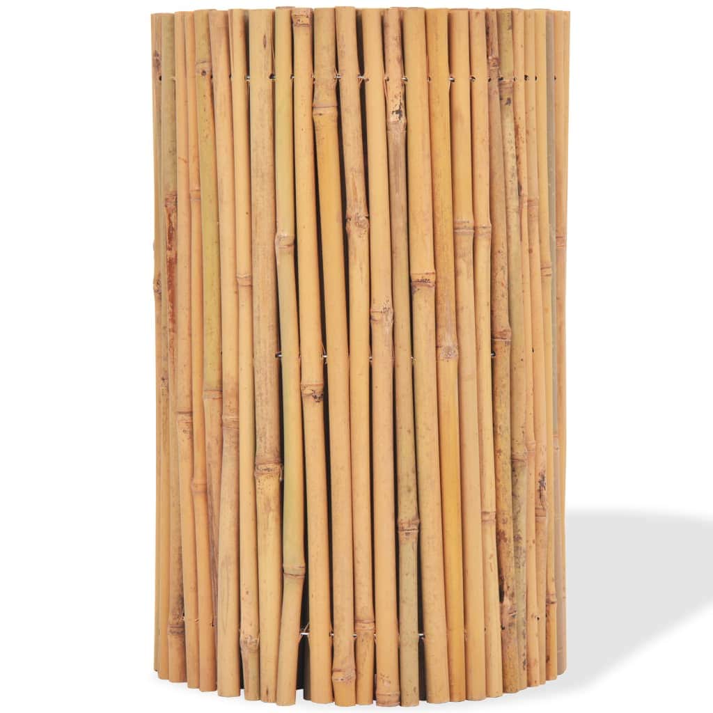 Baboo Fence  MS
