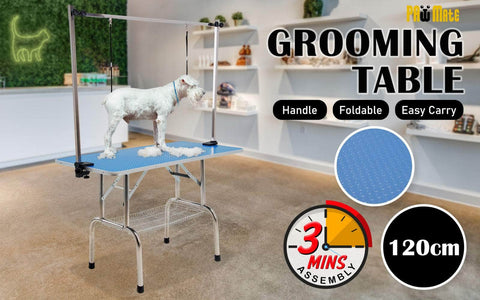 Blue Pet Grooming Salon Table Dual Dog Cat 120Cm