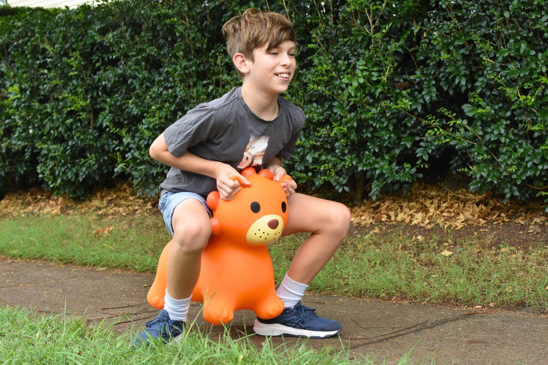 Bouncy Rider Leo The Lion, 9ele - photo 7