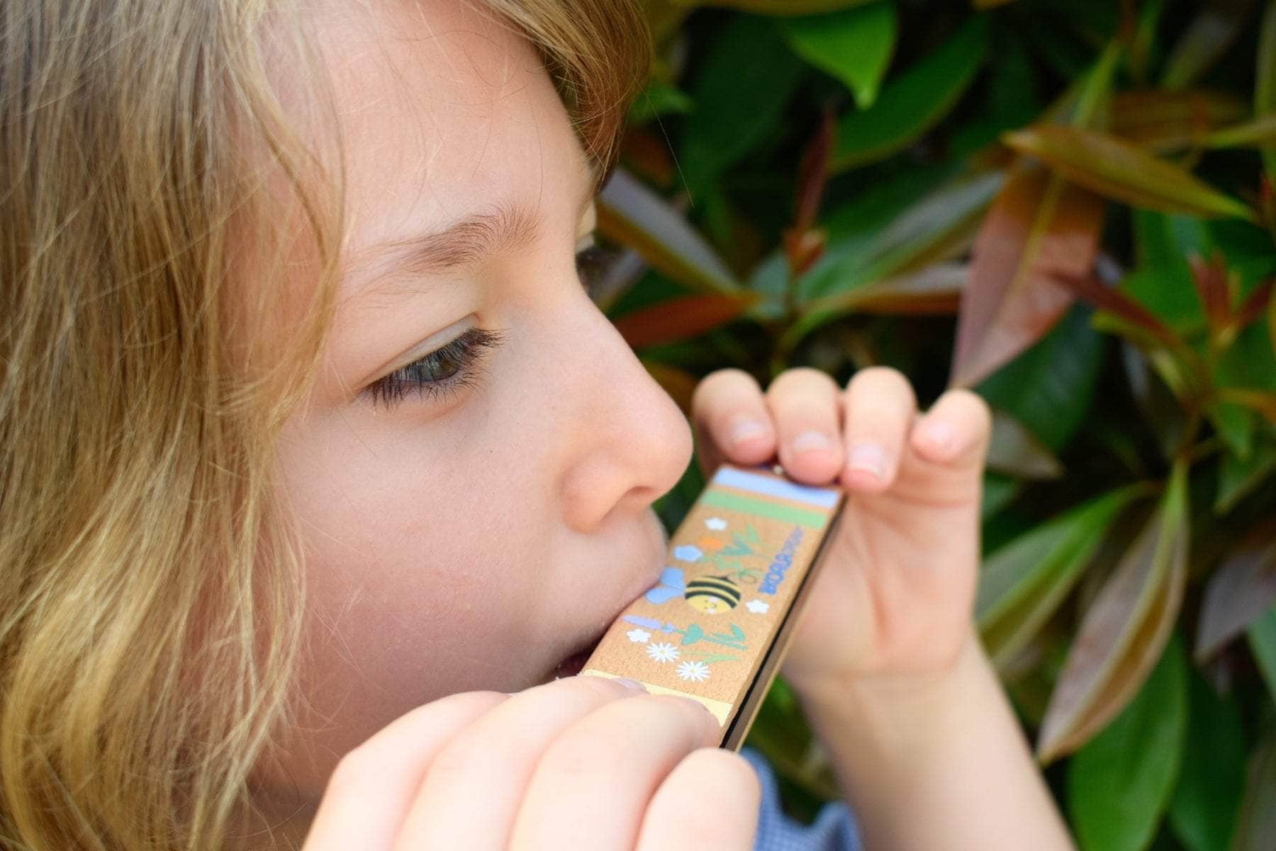 Buzzy days bee harmonica