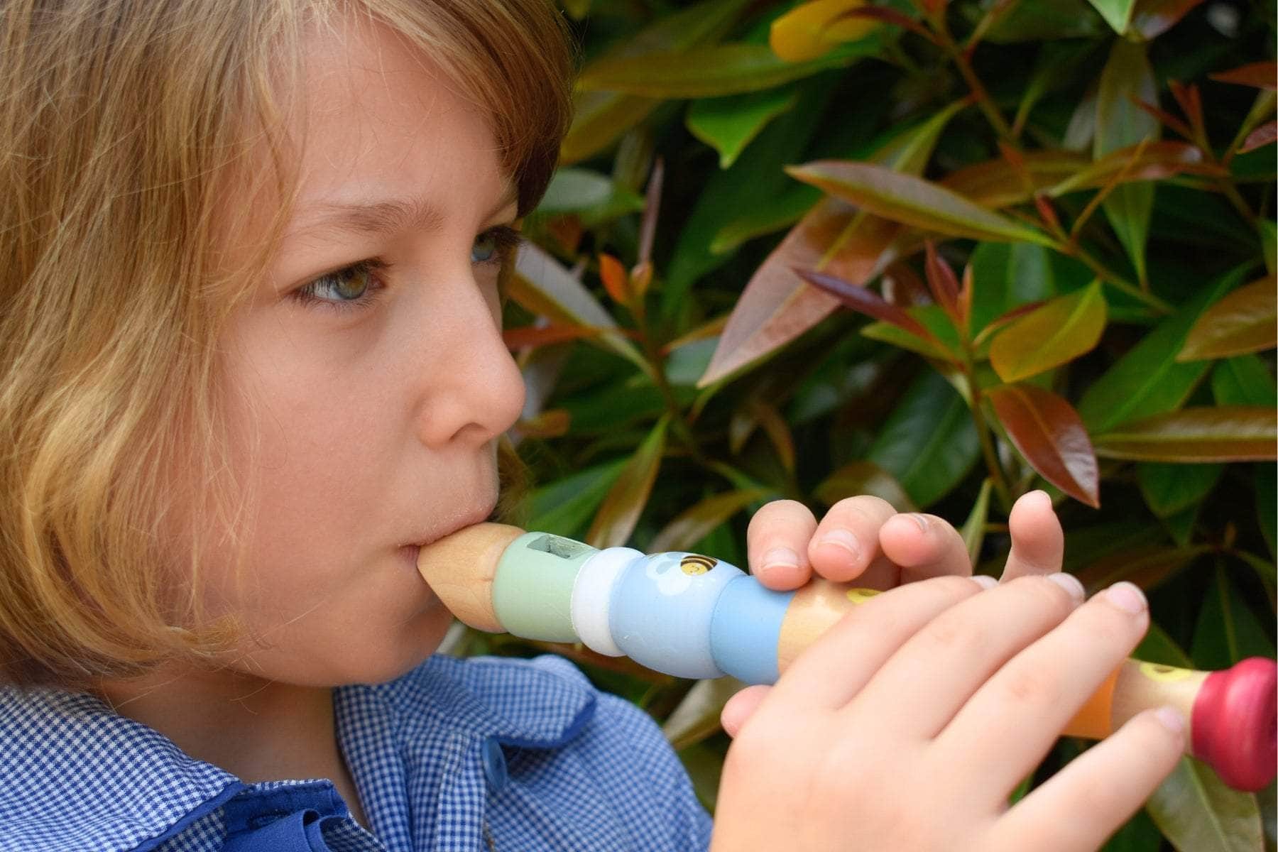 Buzzy days bee rainbow recorder