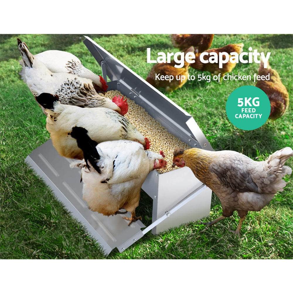 Chicken Feeder 5Kg Automatic Auto